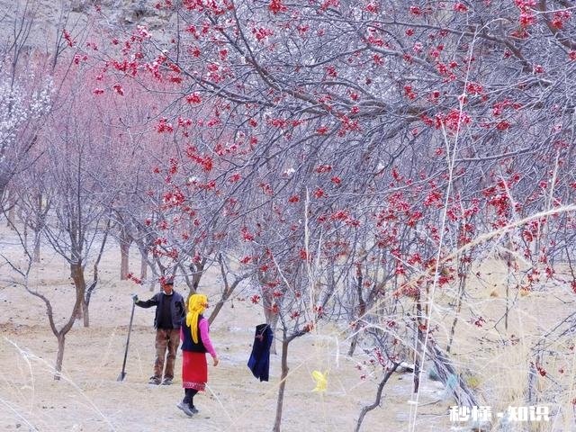 你有什么被偶然拍到或者被偷拍的好看照片吗