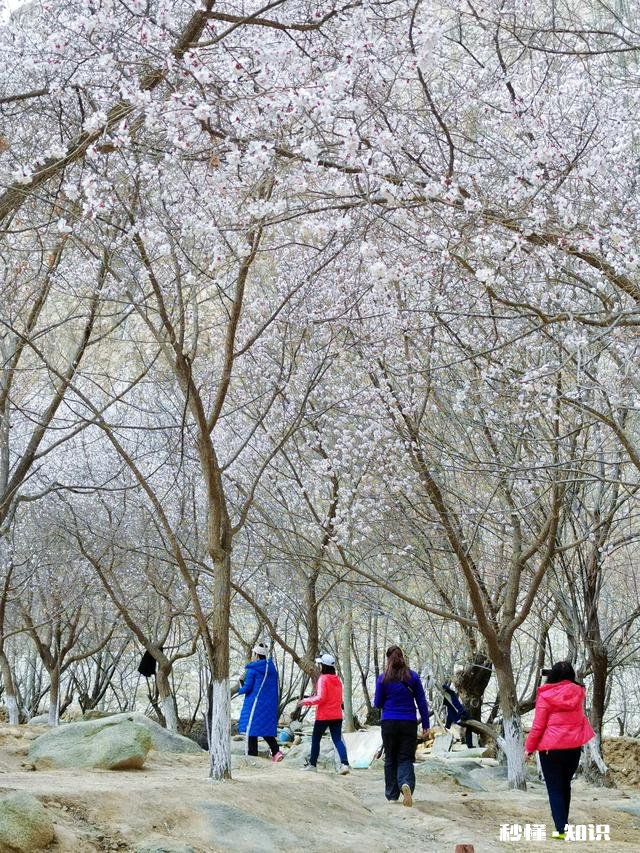 你有什么被偶然拍到或者被偷拍的好看照片吗