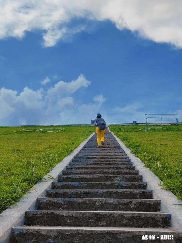 你有什么被偶然拍到或者被偷拍的好看照片吗