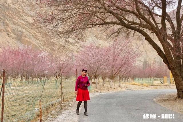 你有什么被偶然拍到或者被偷拍的好看照片吗