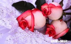 爱一个人的心和眼真的藏不住吗