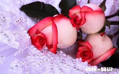 爱一个人的心和眼真的藏不住吗