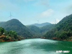 吃杨梅柄卡到喉咙怎么咽下去