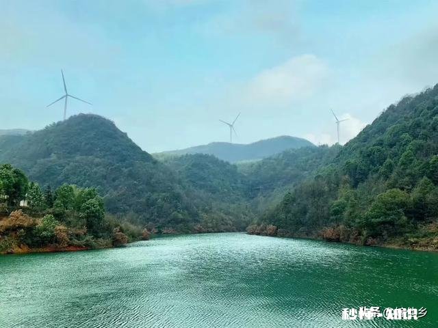 吃杨梅柄卡到喉咙怎么咽下去