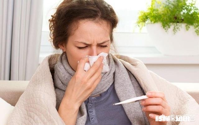 人参蜂王浆是一种滋补保健品吗只要是身体虚弱的人都能吃吗