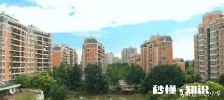 仅剩四位老演员出演的《爱情公寓》第五季,还值得我们期待吗