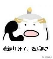 后羿出肉装加吸血能打得过铠吗