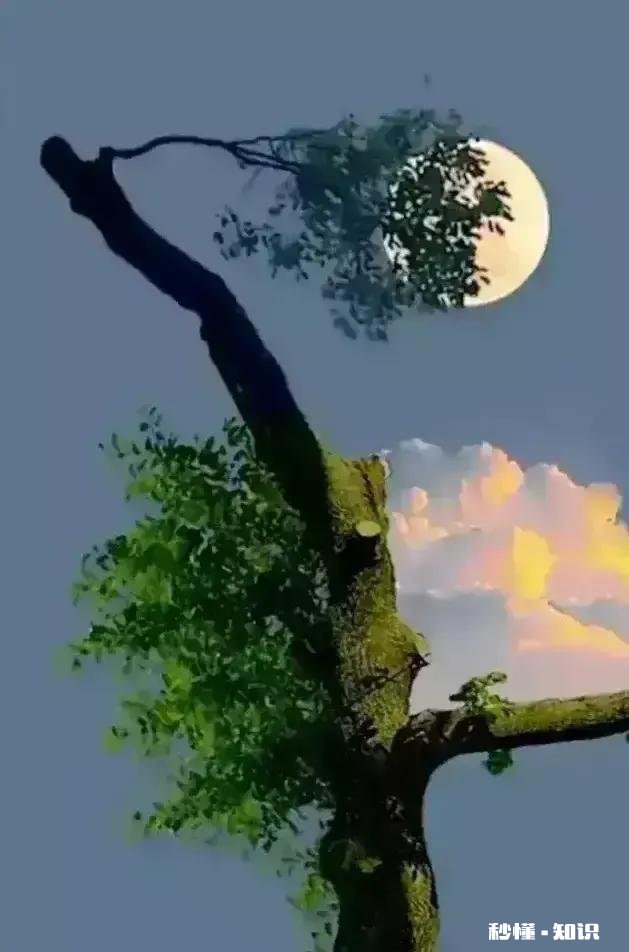 上联，海上升明月。下联怎么对