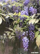 初恋时他跟你讲有过青梅竹马关系亲密的朋友，你能接受吗