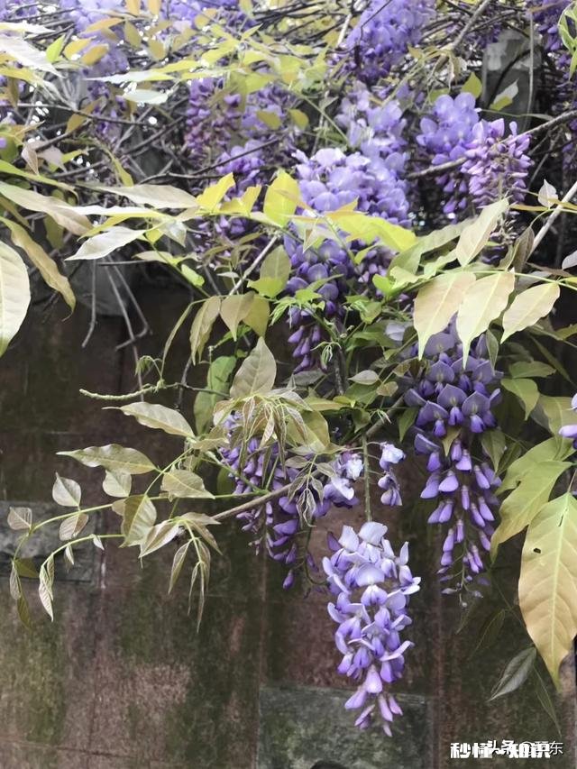 初恋时他跟你讲有过青梅竹马关系亲密的朋友，你能接受吗