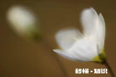 为什么有的人敏感一些，有的人却不敏感