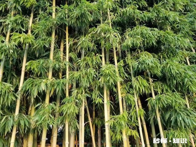 为什么有的人敏感一些，有的人却不敏感