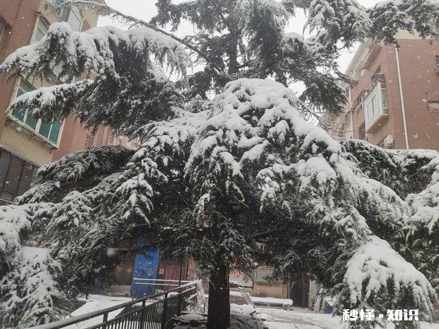 你觉得在生活当中，具备哪些特征的人才算是大智慧