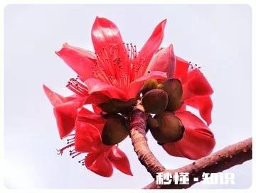 你觉得在生活当中，具备哪些特征的人才算是大智慧