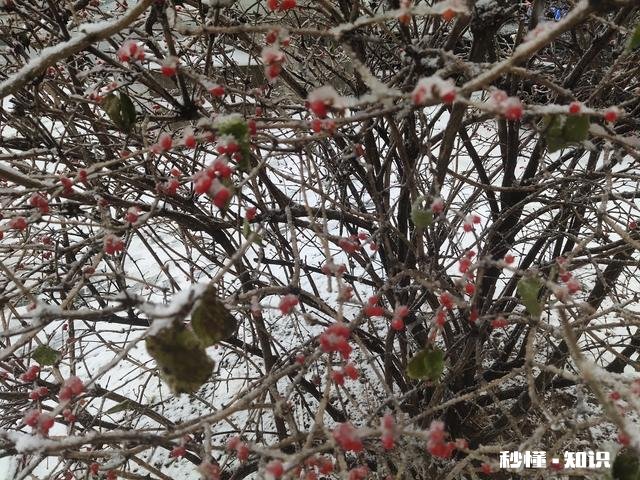 你觉得在生活当中，具备哪些特征的人才算是大智慧