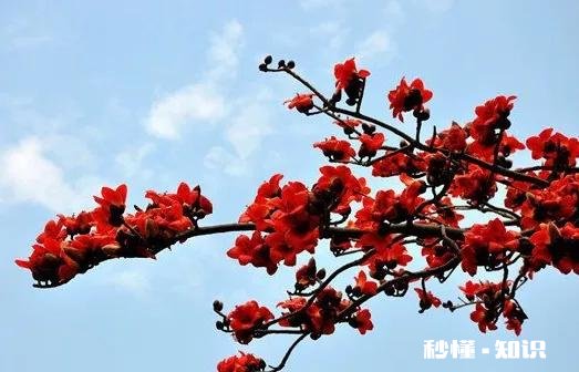 你觉得在生活当中，具备哪些特征的人才算是大智慧