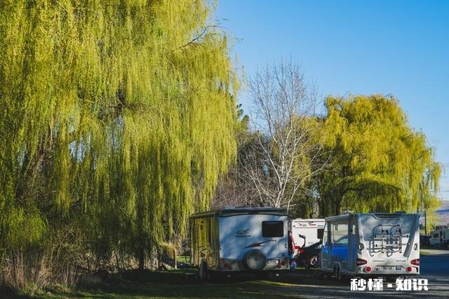 你觉得在生活当中，具备哪些特征的人才算是大智慧