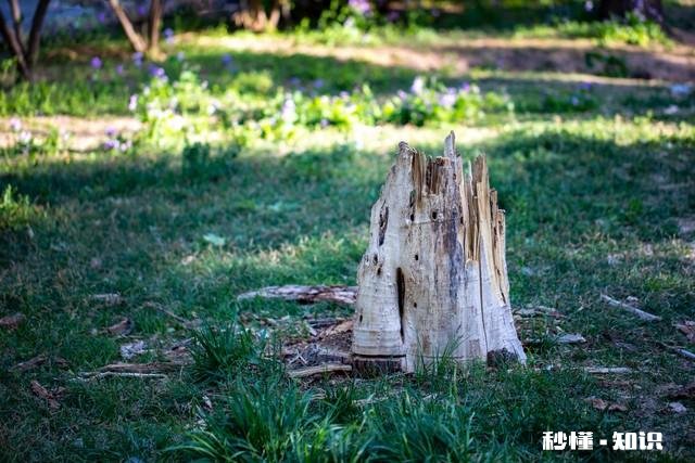 你觉得在生活当中，具备哪些特征的人才算是大智慧