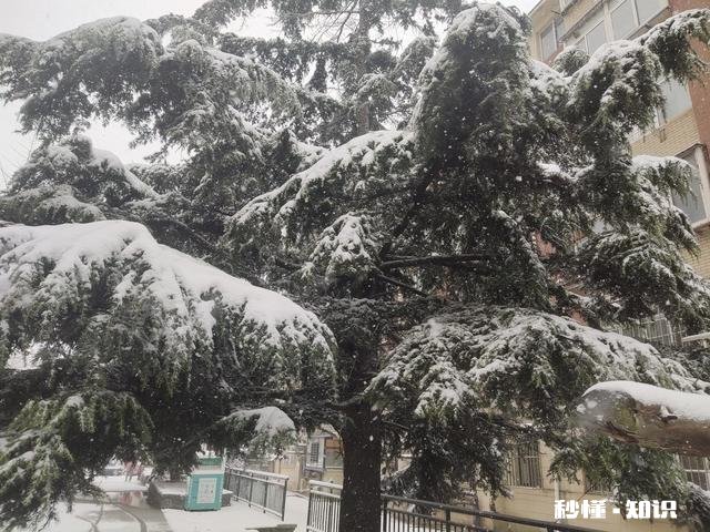 你觉得在生活当中，具备哪些特征的人才算是大智慧