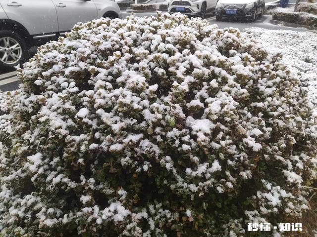 你觉得在生活当中，具备哪些特征的人才算是大智慧