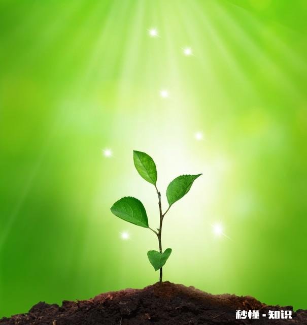 你觉得在生活当中，具备哪些特征的人才算是大智慧