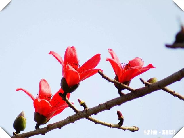 你觉得在生活当中，具备哪些特征的人才算是大智慧