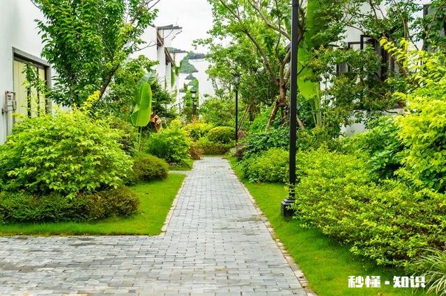 你觉得在生活当中，具备哪些特征的人才算是大智慧