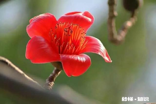 你觉得在生活当中，具备哪些特征的人才算是大智慧