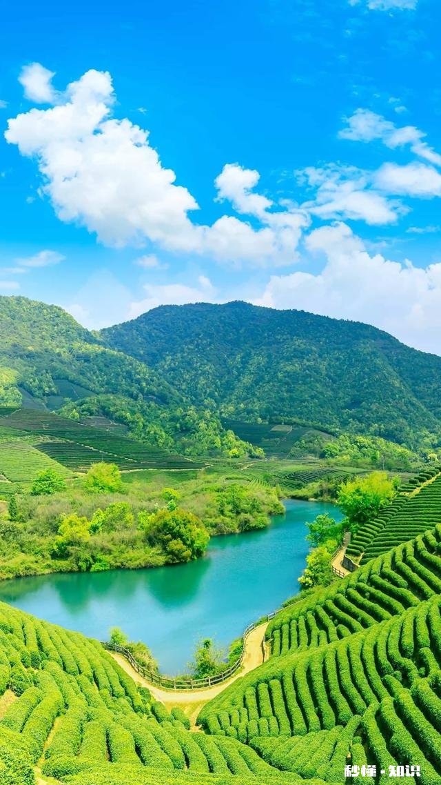 你觉得在生活当中，具备哪些特征的人才算是大智慧