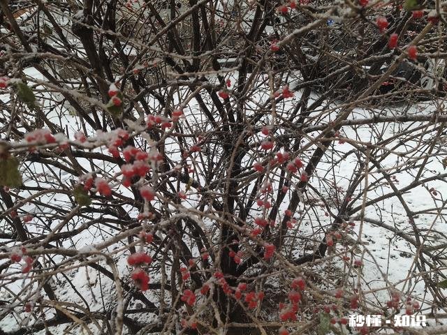 你觉得在生活当中，具备哪些特征的人才算是大智慧