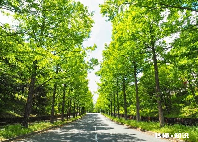 你觉得在生活当中，具备哪些特征的人才算是大智慧