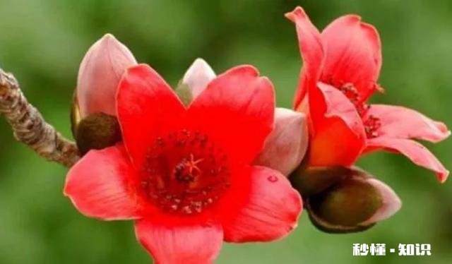 你觉得在生活当中，具备哪些特征的人才算是大智慧