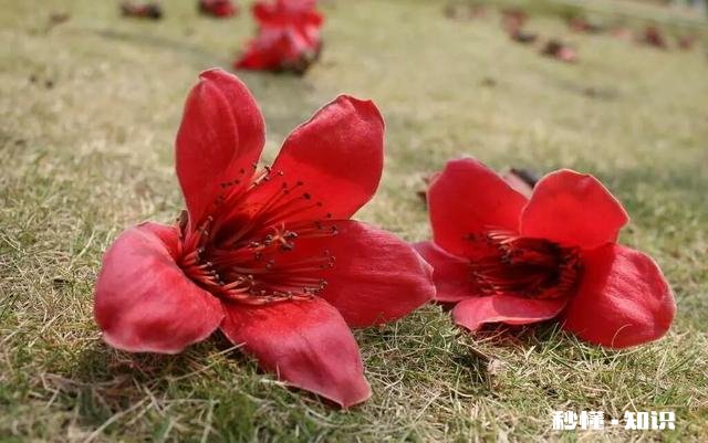 你觉得在生活当中，具备哪些特征的人才算是大智慧