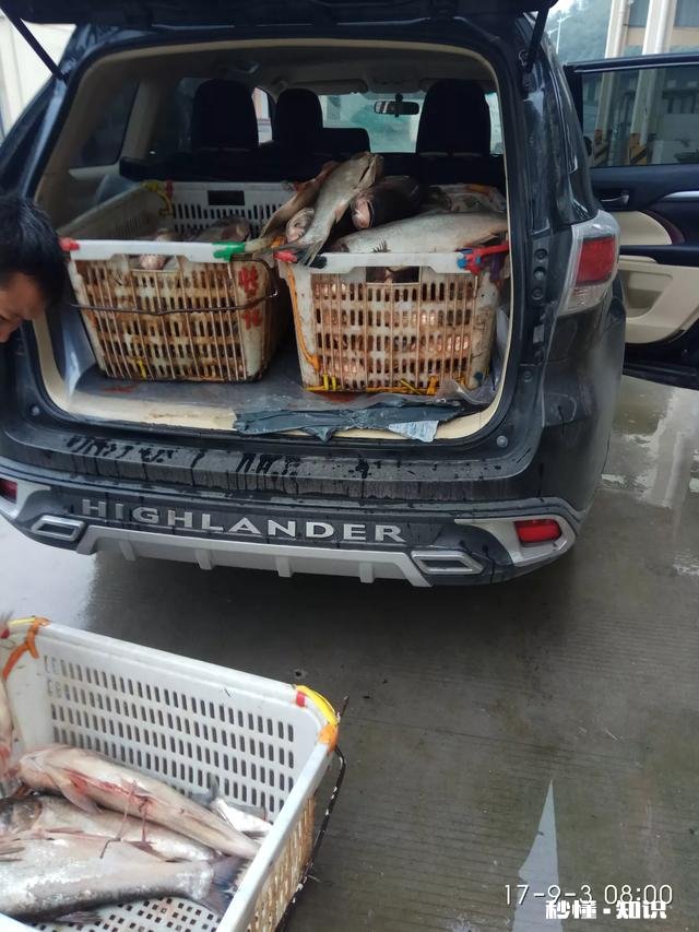 38号说同样车重，大排量更省油，是真的吗