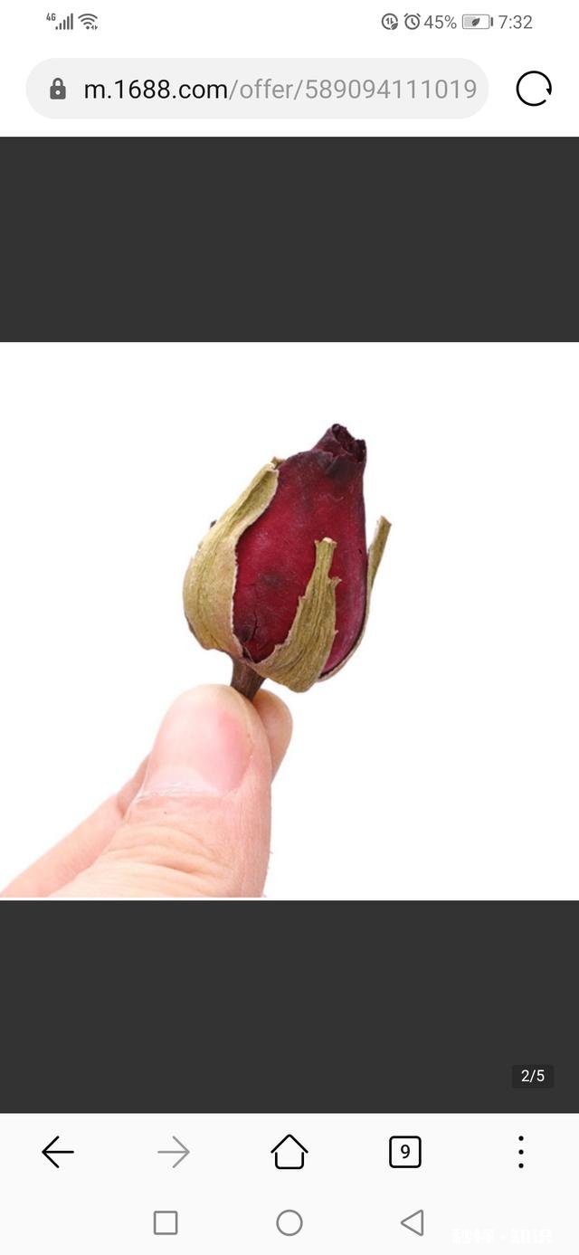 月季花苞怎么晒干