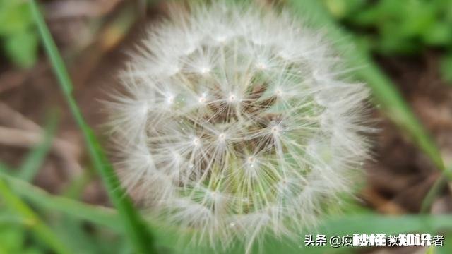 现在要开学时间过半，可有些私立学校，还是照旧全收合理吗