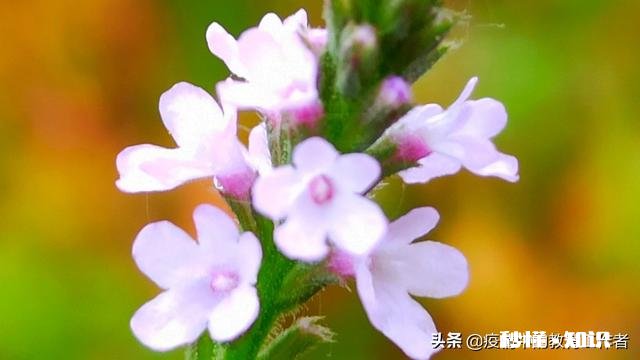 现在要开学时间过半，可有些私立学校，还是照旧全收合理吗