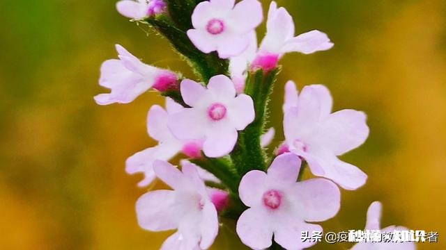 现在要开学时间过半，可有些私立学校，还是照旧全收合理吗