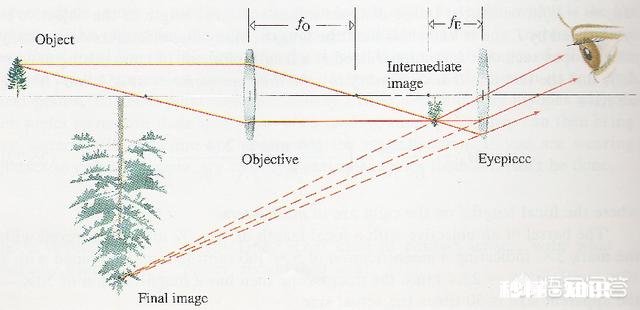 我想知道，假如用望远镜看太阳，看到的是8分20秒以前的太阳，还是实时的太阳呢