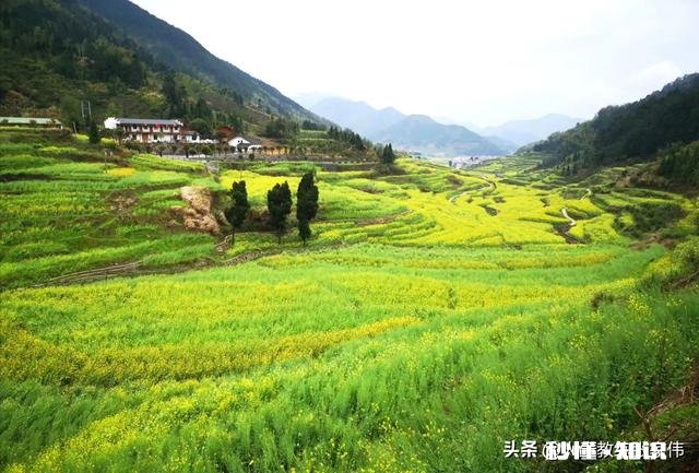 迷茫是什么东西为什么人总会有迷茫的时候