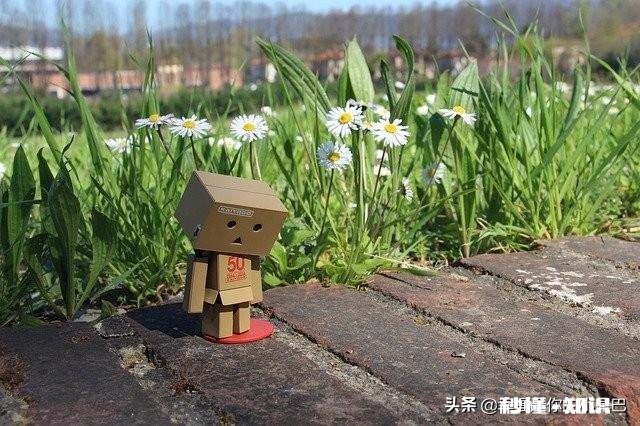 迷茫是什么东西为什么人总会有迷茫的时候