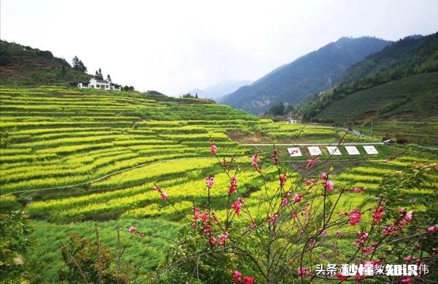 迷茫是什么东西为什么人总会有迷茫的时候