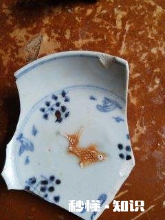 你在收藏古瓷片中的感悟是什么