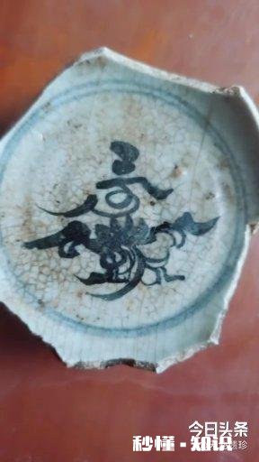 你在收藏古瓷片中的感悟是什么