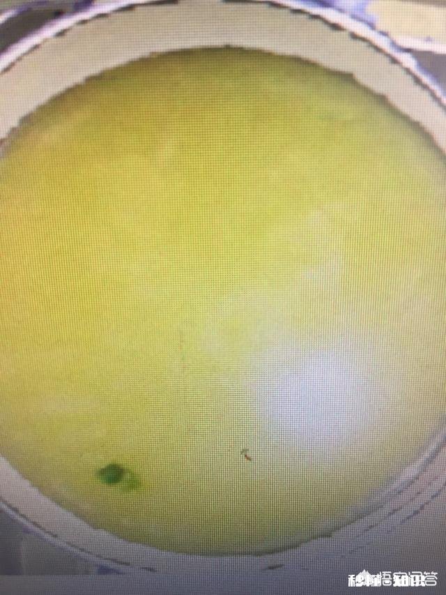 有没有一种食物你永远也吃不腻为什么