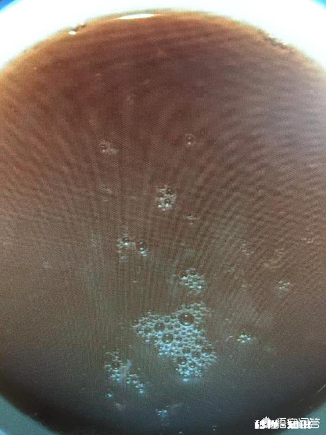 有没有一种食物你永远也吃不腻为什么