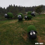 改变原生家庭不幸的最好方法是:好好经营自已的家庭，别让孩子重蹈复辙，是这样吗