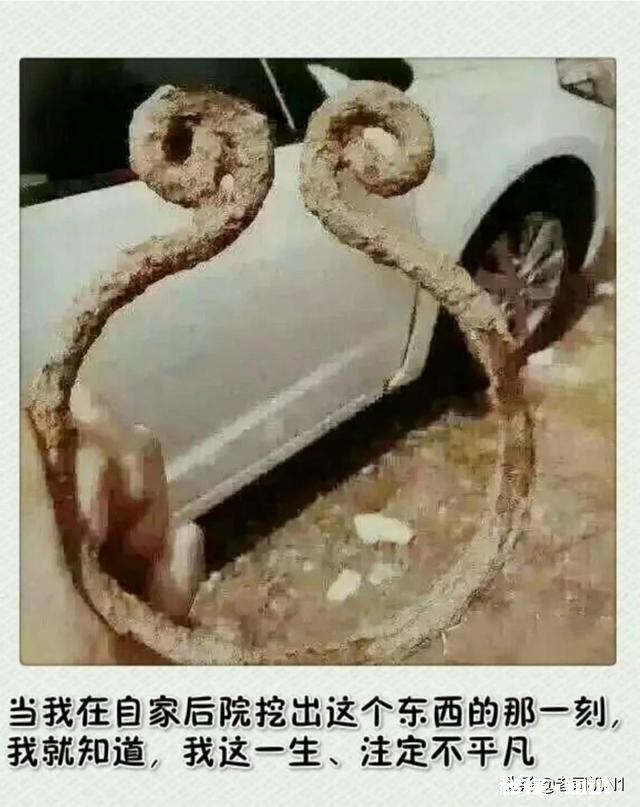 宝马X10奥迪q3选哪款比较好