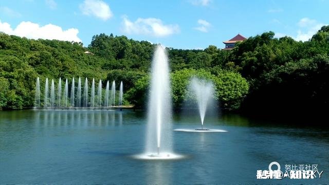 怎样拍摄出流水的动感