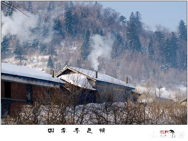 听说东北农村在冬天喜欢把猪头放在外面冷冻起来，这是为何